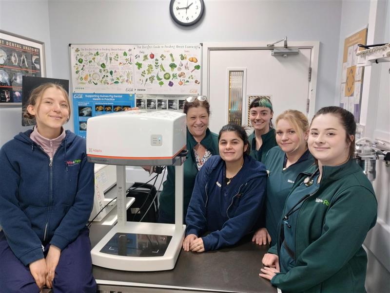 Vets4Pets Blackwood - Adaptix.jpg